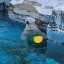 ‎シロクマ🐻‍❄️の画像