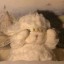 ららたろの画像