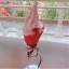 𝓴𝓲𝓼𝓪𝓻𝓪𝓰𝓲🍨の画像