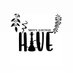 HIVE 配信用の画像
